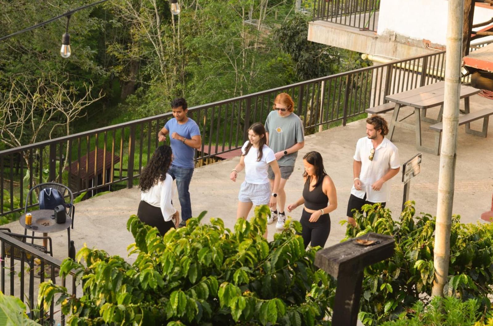 Coffee Tree Boutique Hostel Salento Ngoại thất bức ảnh