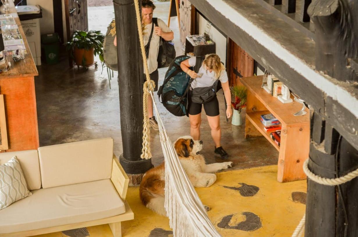 Coffee Tree Boutique Hostel Salento Ngoại thất bức ảnh