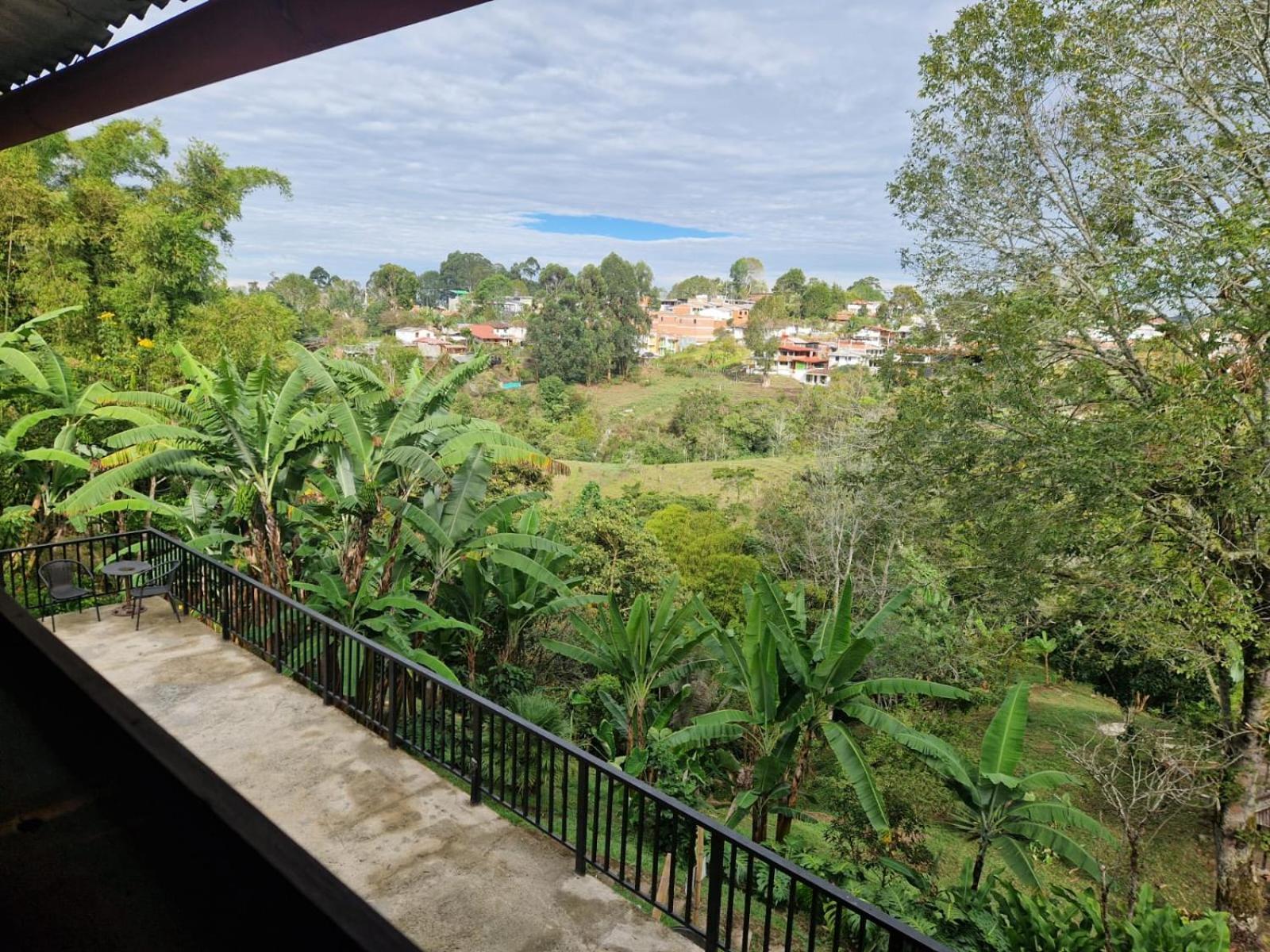 Coffee Tree Boutique Hostel Salento Ngoại thất bức ảnh